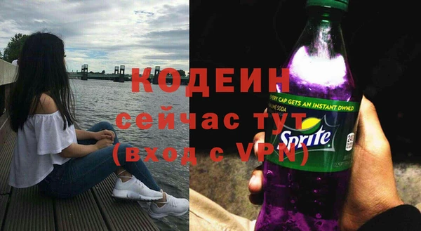 spice Богородск